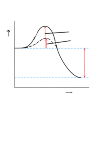 2.6 - enzyme catalysis